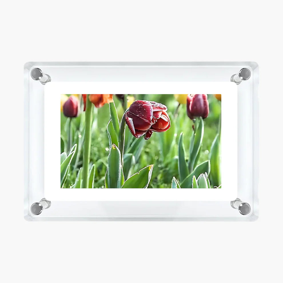 Vesper Memory Frame