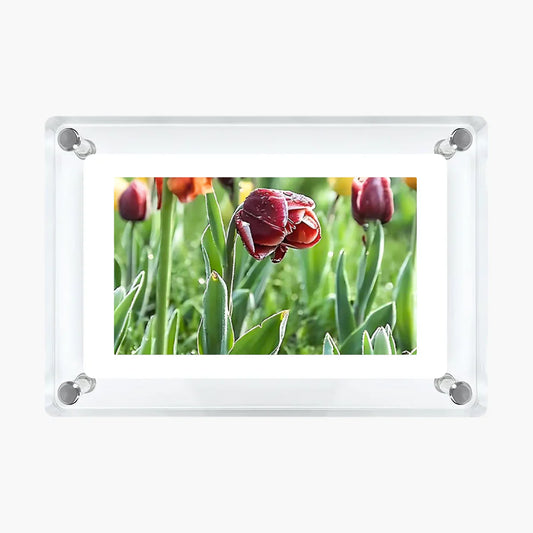 Vesper Memory Frame